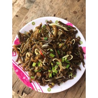 Tảo xoắn Chi Lê