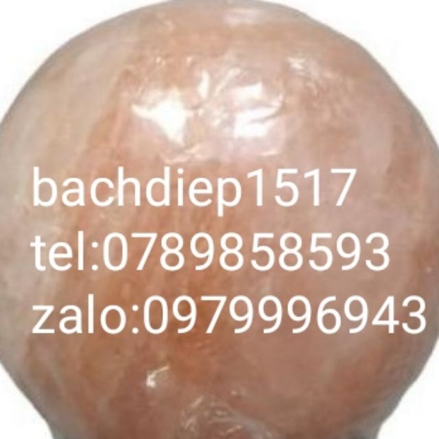 bachdiep1517