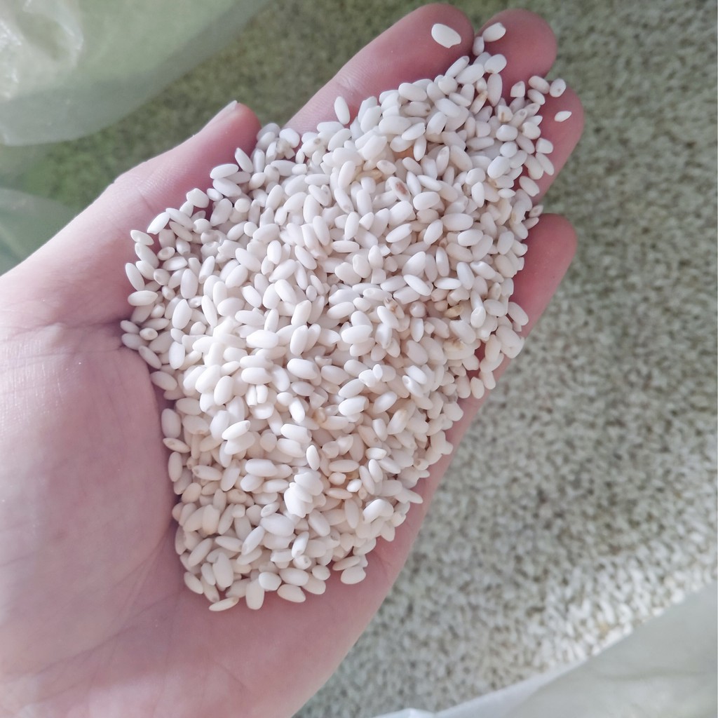 1kg Gạo Nếp Cái Hoa Vàng - Gạo Tròn Mẩy Thơm 1 Vụ Trong Năm