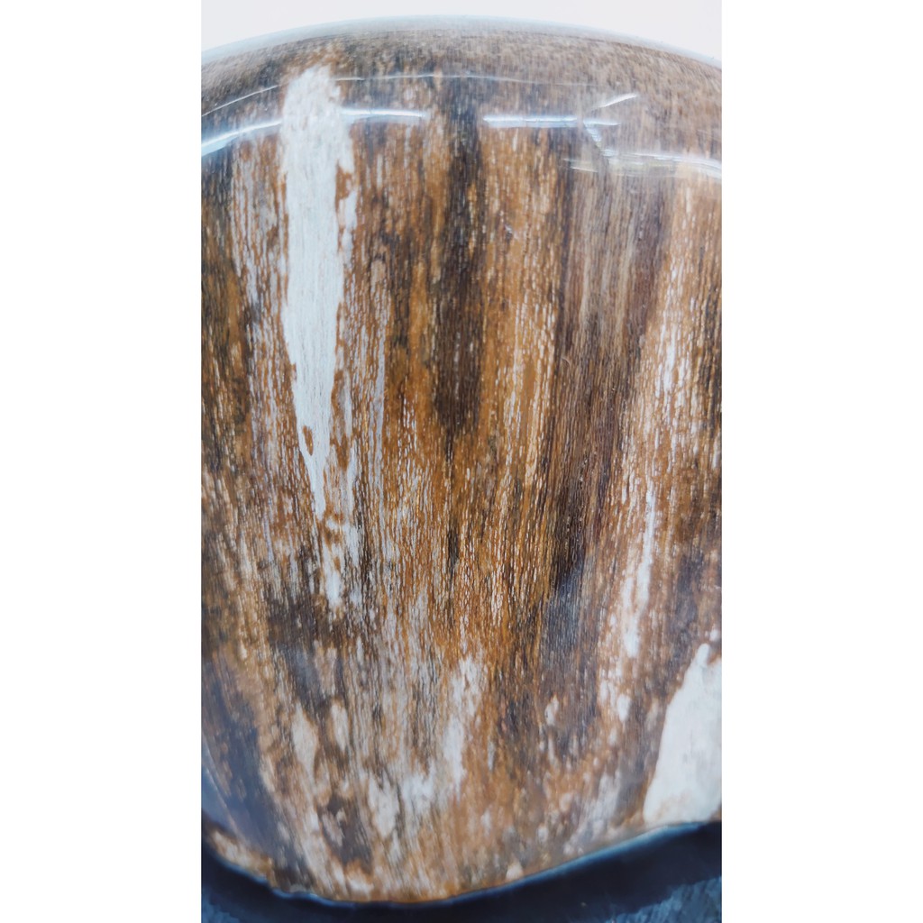 Gỗ Hóa Thạch 100% tự nhiên-Xuất Xứ Gia Lai Việt Nam-Giá gốc tại xưởng-Khối lượng: 1.2kg -Cao: 16cm -Rộng: 16cm