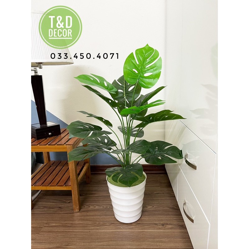 Cây giả-Cây trầu bà lá xẻ monstera 75cm