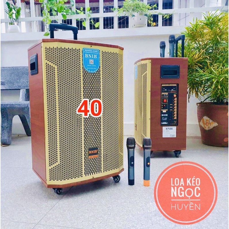 Loa kéo bluetooth hát karaoke - Loa BNIB 1599 Plus Bass 40 - Loa 3 đường tiếng