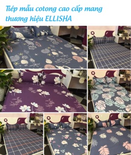 Bộ ga 2 vỏ gối cotton (1,6m x2m )