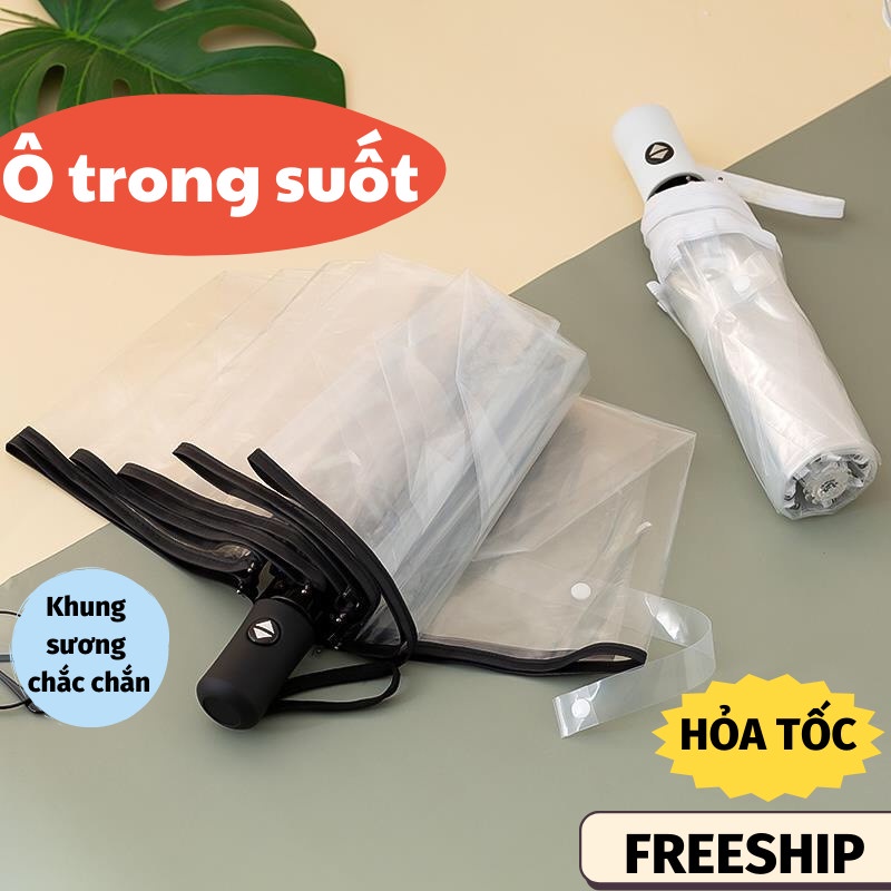 Ô Che Mưa Dù Trong Suốt Chụp Ảnh Gấp Gọn Chống Thấm Phong Cách Hàn Quốc Dù Che Mưa Toki