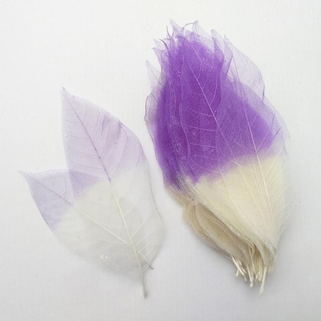 100 Magnolia Dried Skeleton Leaf Leaves Scrapbook Embellishment Craft Mixed NoBrand