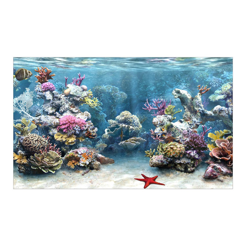 DECAL DÁN HỒ CÁ NHIỀU KÍCH THƯỚC_THIẾT KẾ NÀNG THƠ