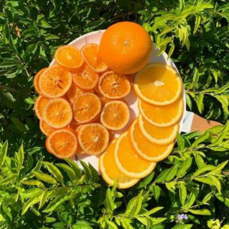 CAM VINH SẤY DẺO KHÔNG ĐƯỜNG.