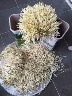 Máy làm giá đỗ tự động ĐT-103