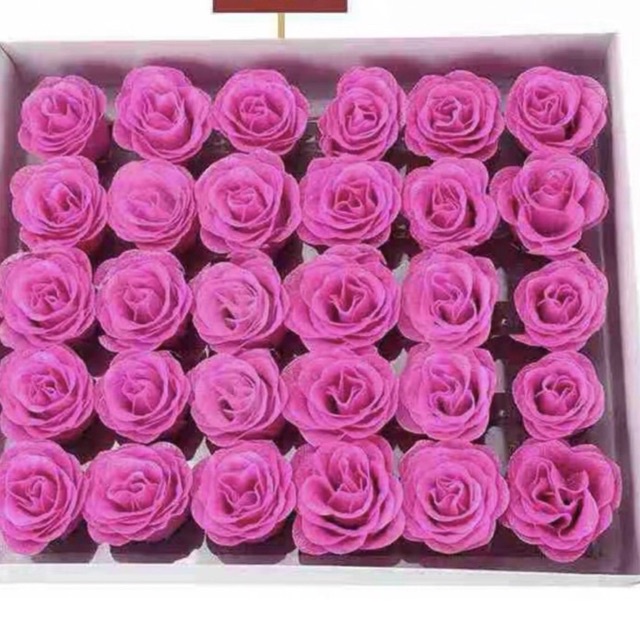 Sỉ Hoa nhũ hộp 30 bông