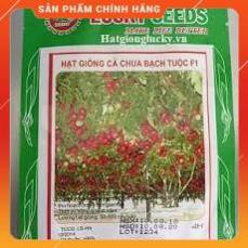 HẠT GIỐNG CÀ CHUA BẠCH TUỘC LEO GIÀN LUCKY GÓI 4H