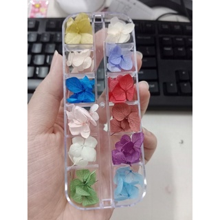 Set hoa khô nail 12 màu, hoa khô trang trí móng