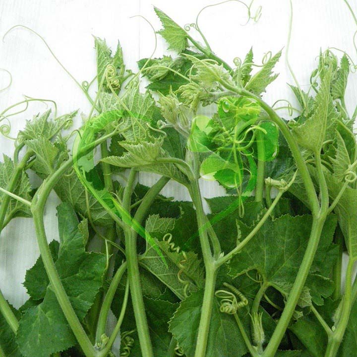 Hạt bí ngọn siêu đọt- gói 20 gramMS970