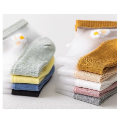 [FREESHIP❤️]Tất Chân Nữ Hoa Cúc Cỗ Ngắn Các Mầu Xinh Xắn Loại 1 Dày - Mẫu Mới Màu Ngẫu Nhiên.