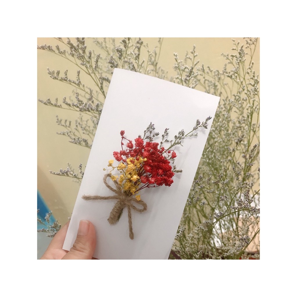 🍁Nhánh hoa khô Baby làm đồ handmade 🍁phụ kiện chụp ảnh🍁hoa khô nguyên liệu