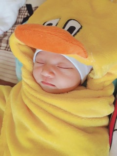 Chăn ủ thú mùa đông cho bé