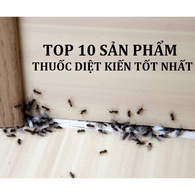 Thuốc diệt kiến gián hiệu quả thân thiện với môi trường không sử dụng hóa chất độc hại an toàn cho trẻ AT07