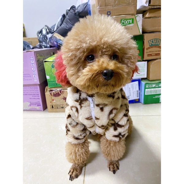 Áo khoác lông kéo khoá cho chó mèo