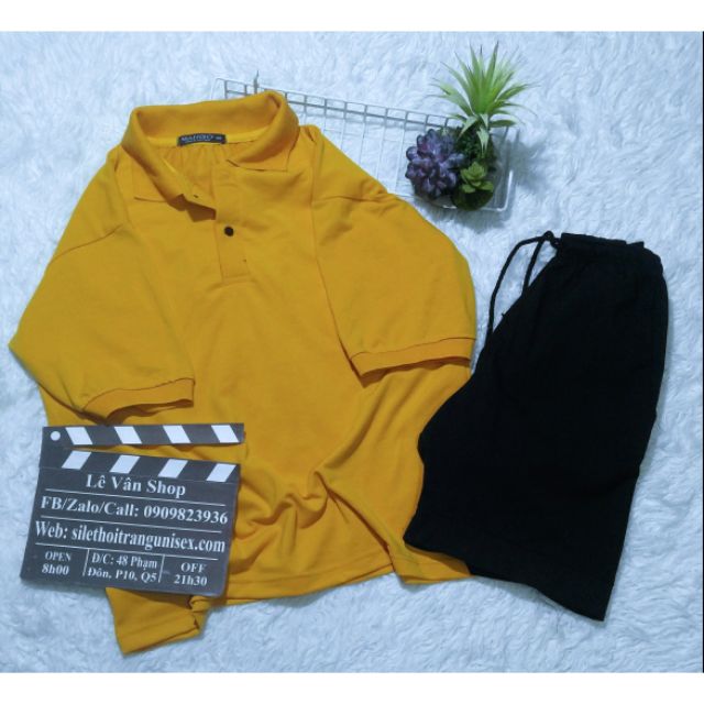 Áo thun Polo trơn có 4 màu (ảnh thật) | BigBuy360 - bigbuy360.vn