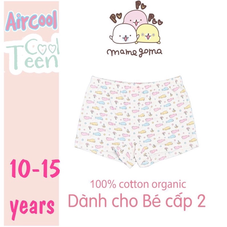 Sét 3 chip đùi bg Air cool dành cho bạn lớn