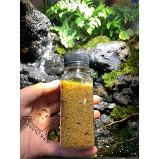 [Chai20k] Cốm trứng dinh dưỡng dành cho hamster
