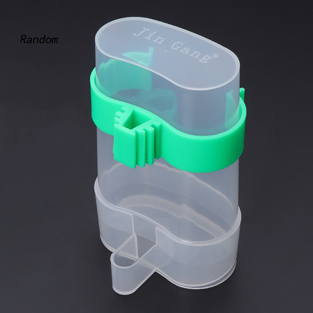 Bình uống nước tự động dành cho chim cảnh