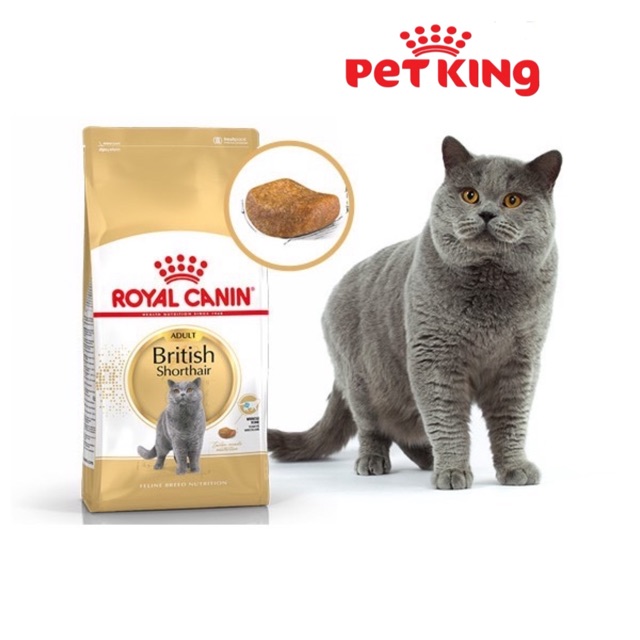 Thức Ăn Hạt Royal CANIN British Shorthair Adult 2Kg Dành Cho Mèo Anh Lông Ngắn Trưởng Thành