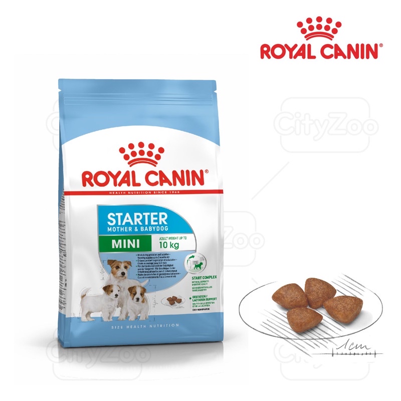 ROYAL CANIN MINI STARTER MOTHER &amp; BABYDOG [ bao 8,5kg ]