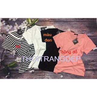 Combo 10 áo phông nữ free ship