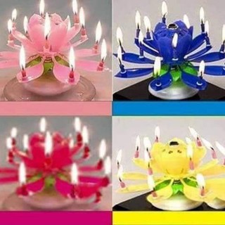 CHUYÊN SỈ NẾN SINH NHẬT 3D TỰ ĐỘNG : NỞ HOA - XOAY TRÒN - PHÁT NHẠC