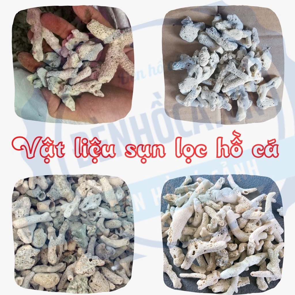 100g San hô vụn lọc nước, giúp tăng PH, trang trí bể thủy sinh