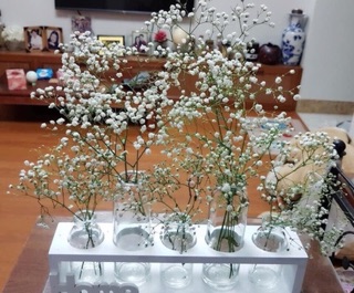 Set 5 lọ hoa