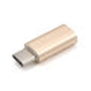 Đầu chuyển đổi từ (IP) sang Type C