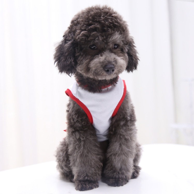 Áo Hình Khủng Long Dễ Thương Cho Thú Cưng