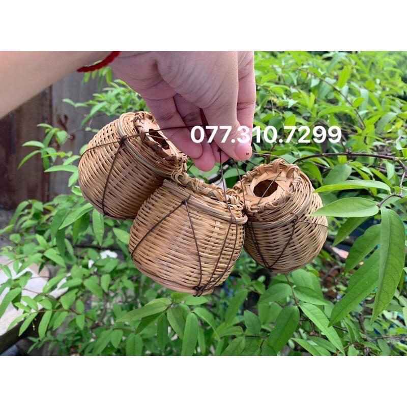 Giỏ đan tre  trang trí- trồng cây mini ảnh thật MINI