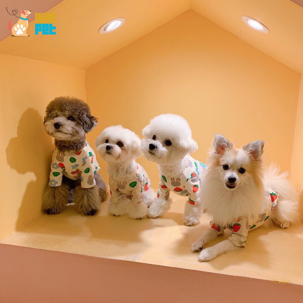 Áo Thun Ba Lỗ Hình Trái Dâu Thỏ Cho Chó Mèo Hàn Quốc Quần Áo Thú Cưng Cao Cấp Hihapet.