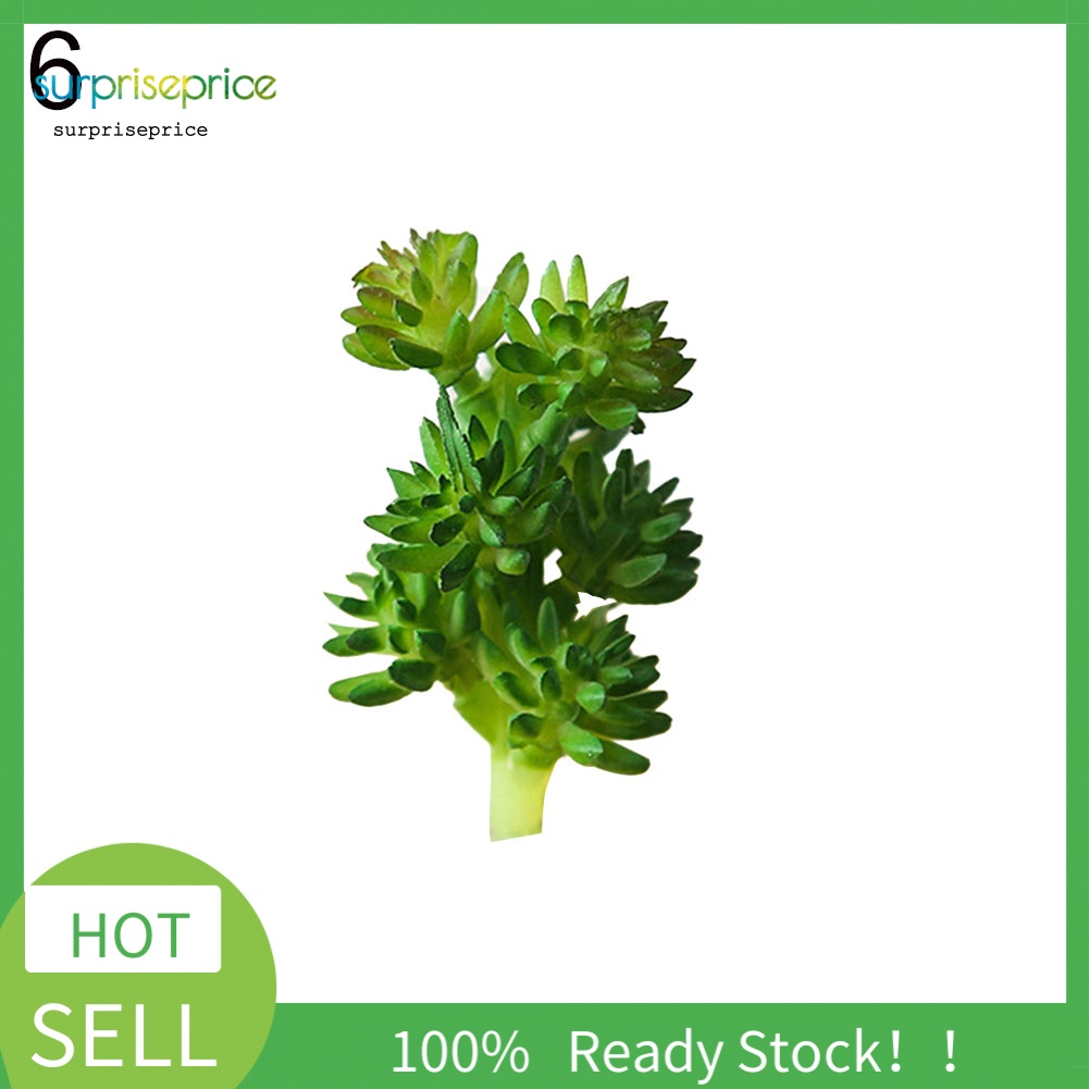 1 Cây Mọng Nước Nhân Tạo Dùng Cho Trang Trí