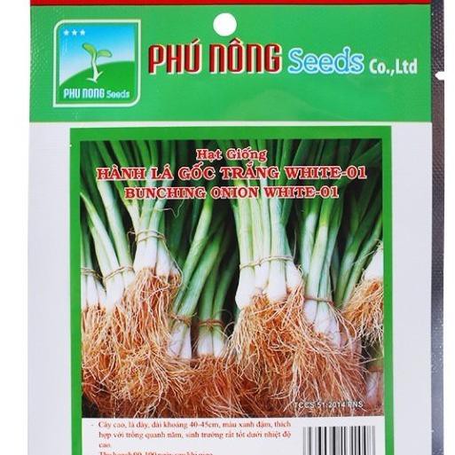 Hạt giống hành lá gốc trắng - PNSeeds