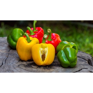 Ớt chuông Đà Lạt (1kg)