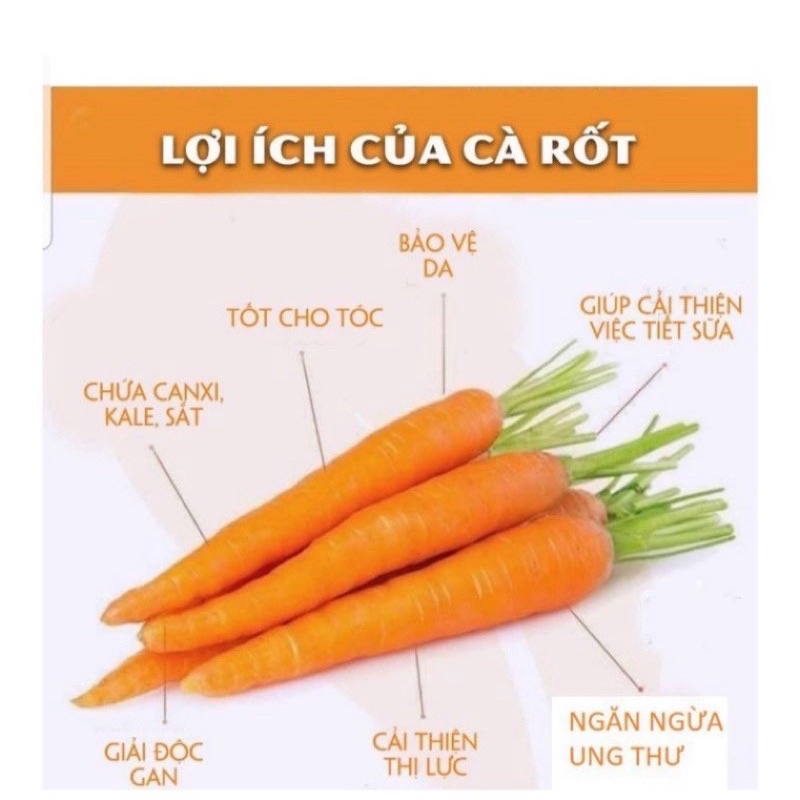 Bột cà rốt sấy lạnh nguyên chất dùng uống đẹp da, tạo màu thực phẩm, làm đồ ăn dặm cho bé