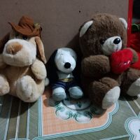 Gấu bông khách ngọc