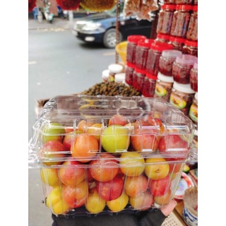 Mận Hà Nội trái mùa