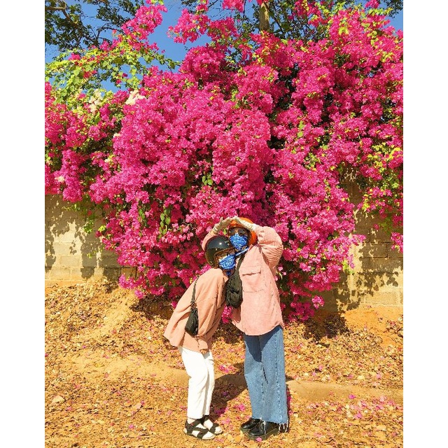 đồ chọn trên live