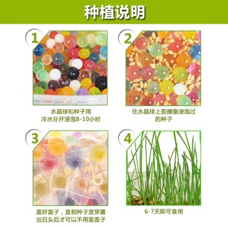Hộp trồng cỏ mèo