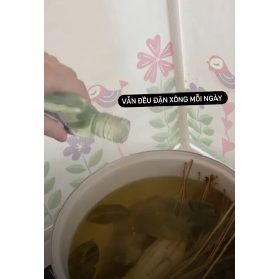 MYA - TINH DẦU TRÀM THIÊN NHIÊN