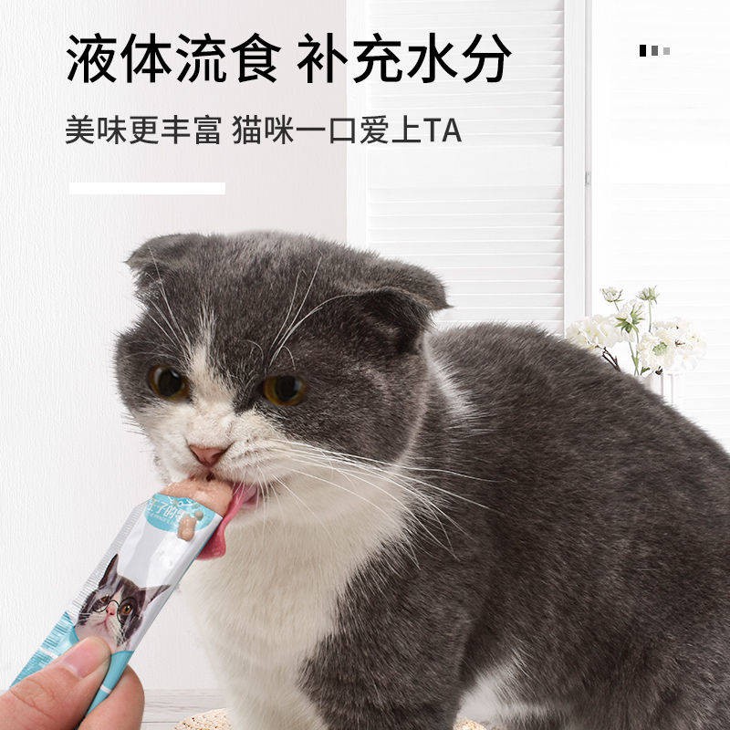 Mèo Snack 60 / Thùng Dải Cat Sữa cá tinh khiết Cá khô, Trẻ em, Tươi thứ hai, Sốt, Ướt, Túi hạt