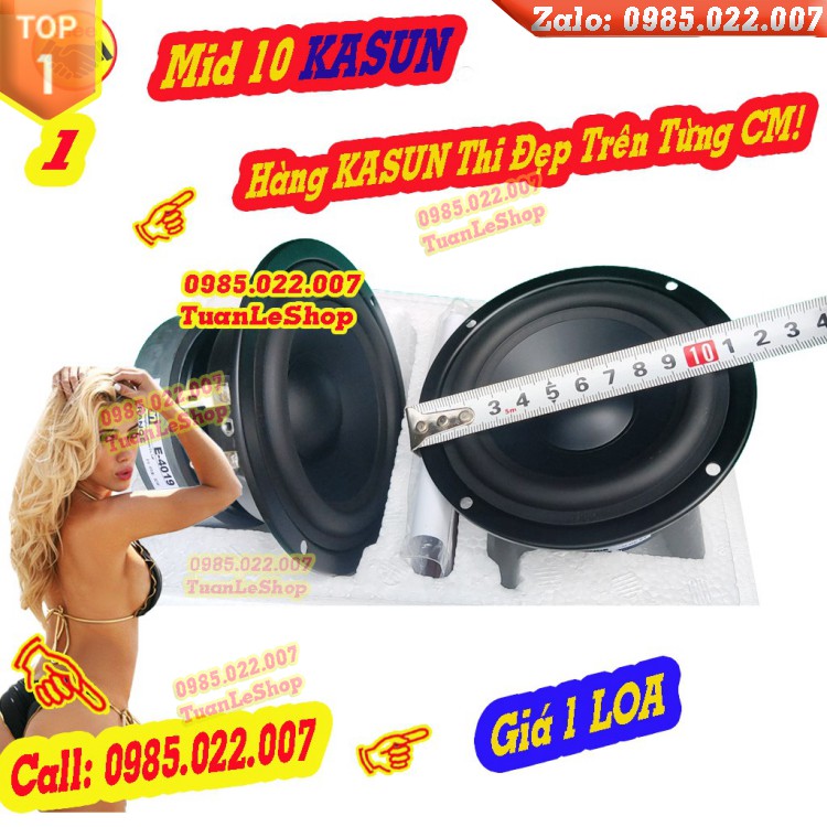 LOA TRUNG 10 KASUN NHẬP KHẨU E4019 - GIÁ 1 LOA