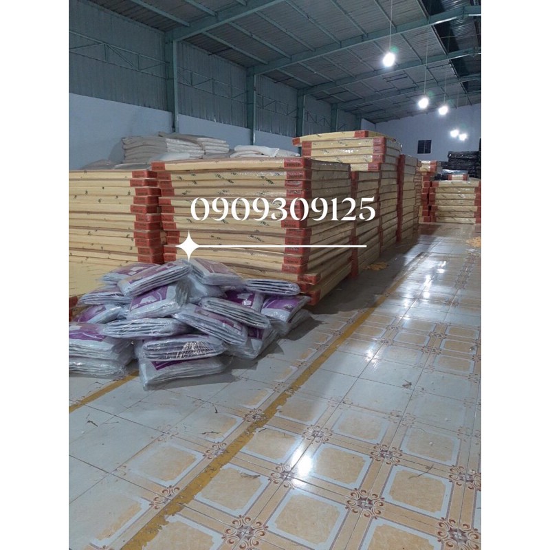 (chính hãng đủ size) Nệm cao su non THẮNG LỢI chính hãng, free ship (BH 15 năm)