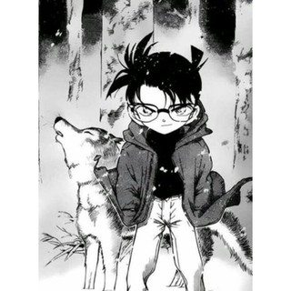 [ MANGA WALL ] Combo 100 Tấm Conan
