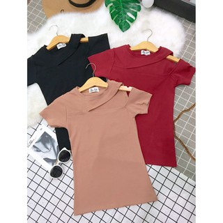 Áo thun kiểu thun bozip siêu co giãn ôm dáng