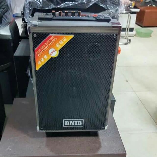 Loa kéo BNIB bass 20  vỏ gỗ